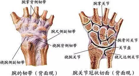 腕关节超负荷的过度劳累及腕关节长期反复操劳积累,使某一肌肉,韧带