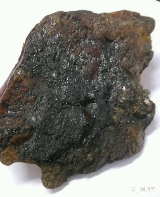 山西煤琥珀图片