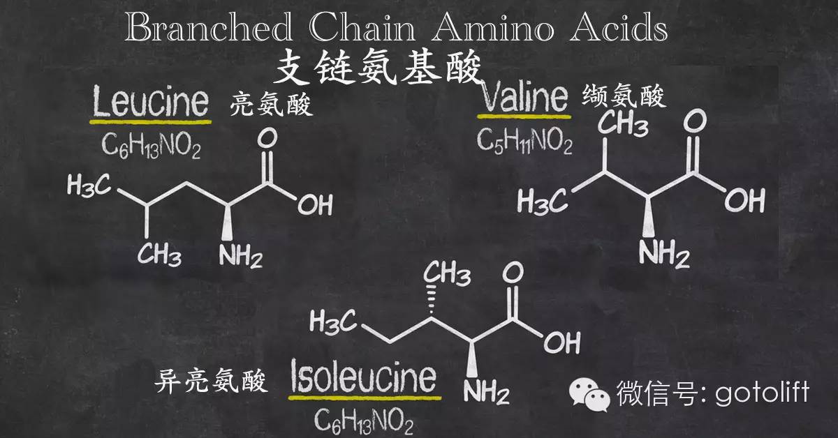 支链氨基酸的作用图片