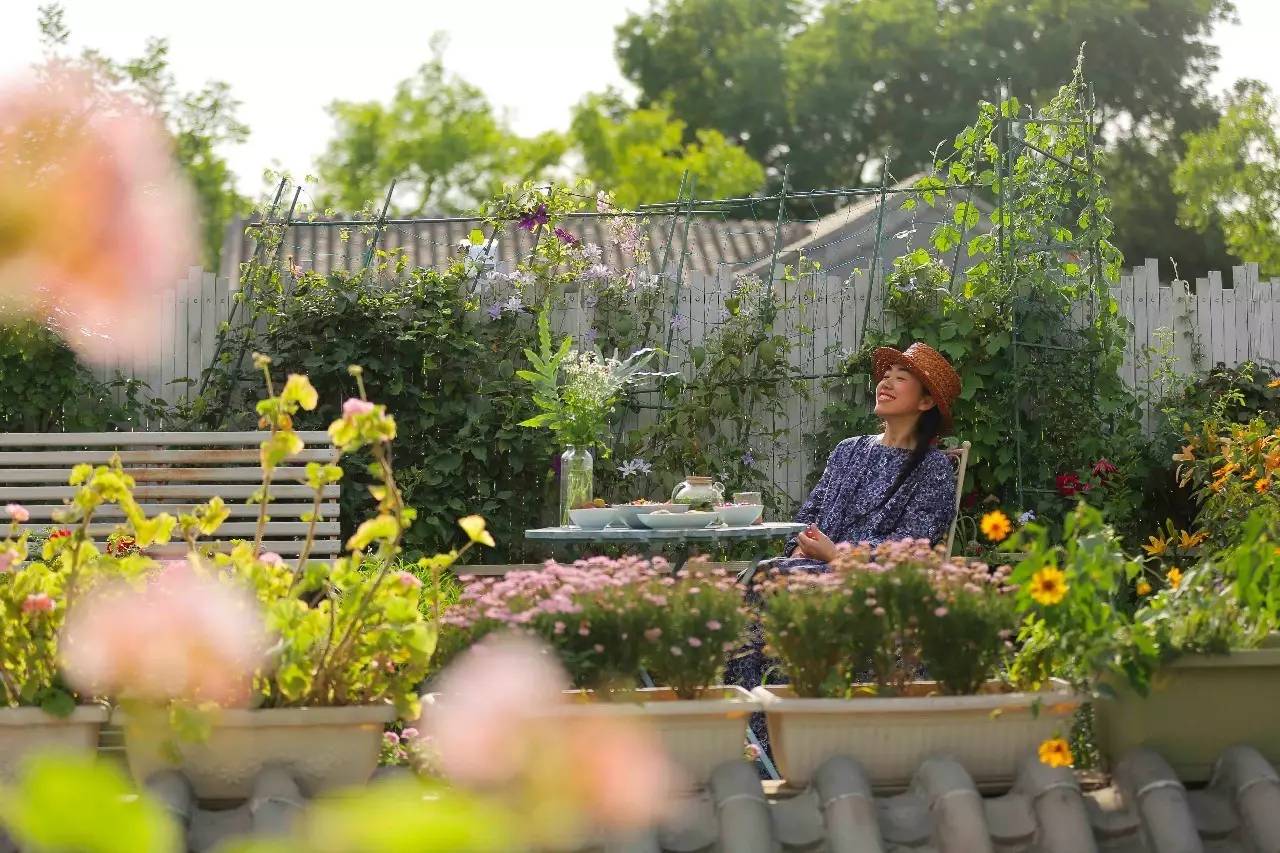 请看独家原创视频北平花园,可能是北京最美的花园民宿,里面种满了