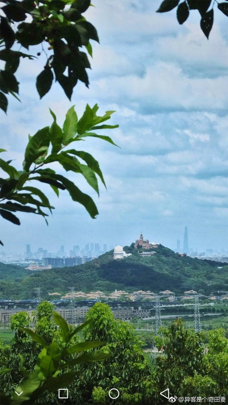 上海天马山公园图片