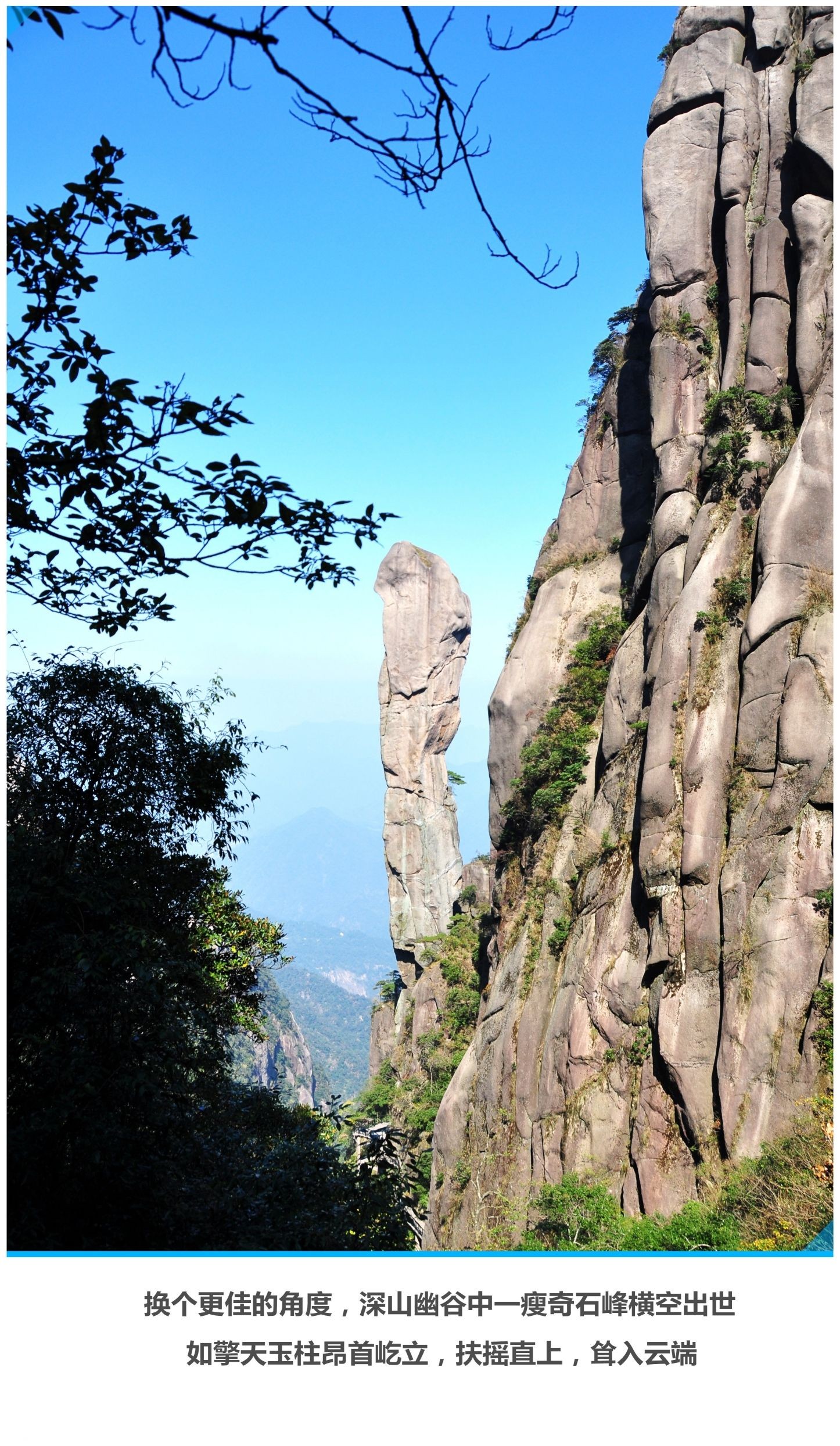 游览南清园景区【代表景观:东方女神-巨蟒出山等】