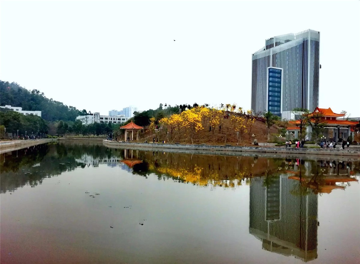 惠州学院蓬瀛湖图片