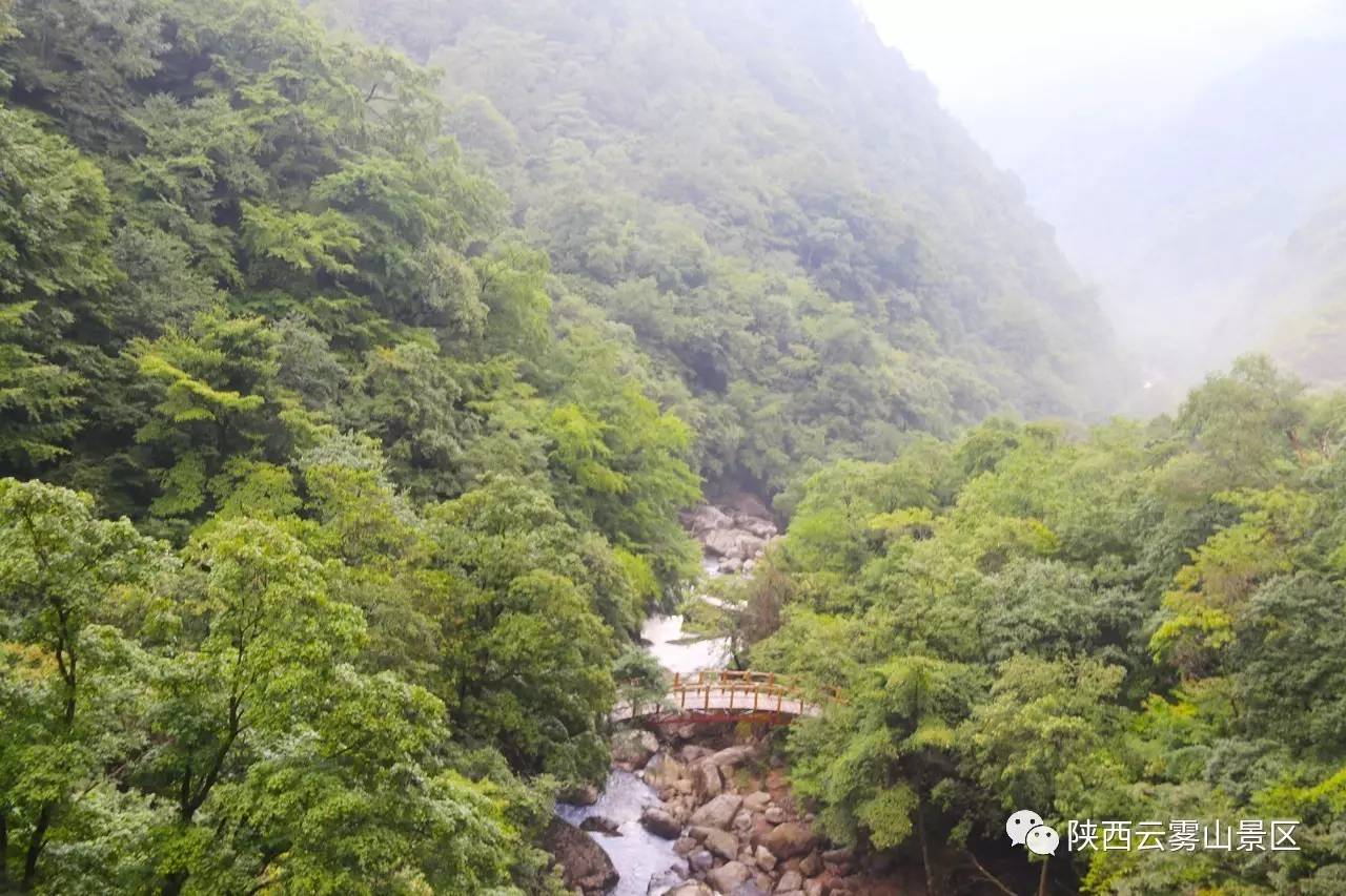 汉中云雾山风景区图片