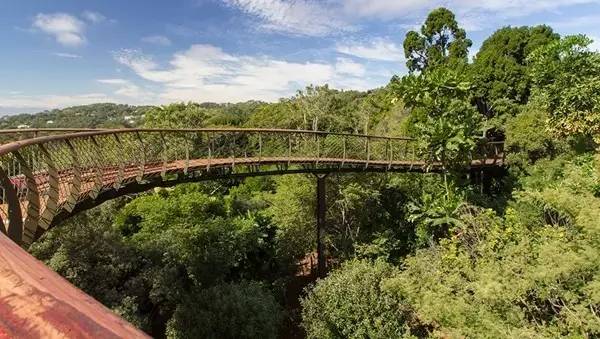 南非:非洲树蛇桥