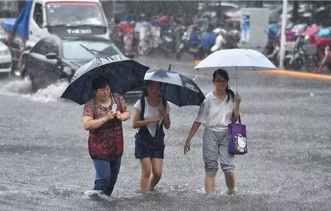 陣雨 中雨 大雨!新一輪降雨來襲,更難熬的日子還在後頭