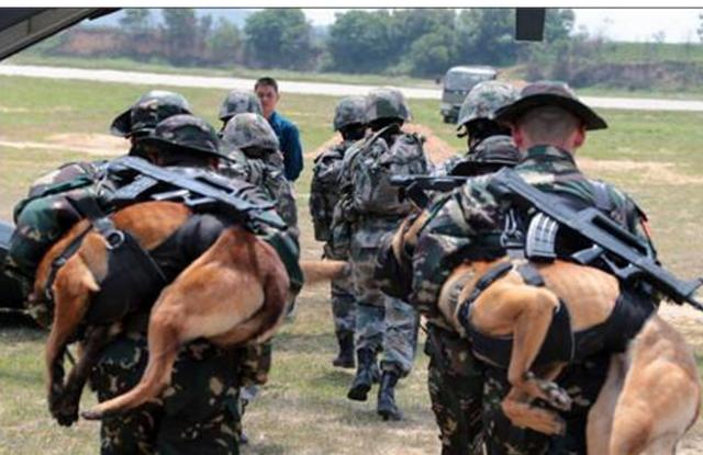 中國響箭特種部隊執行任務隨身背軍犬狗是忠誠戰友