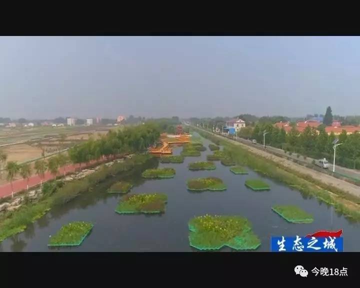 位于临淄区凤凰镇的运粮河湿地公园,可以说是整个运粮河改造的核心