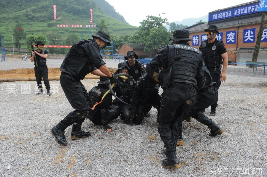 實拍特警訓練中抓蛇生吸蛇血,練就野外生存技能