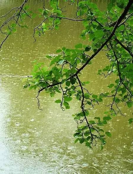 雨中遐想