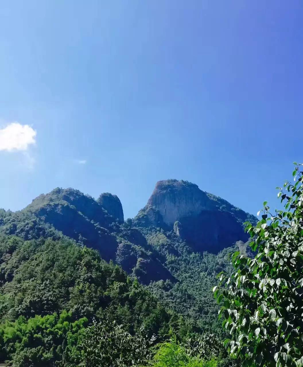 乐清淡溪风景区图片