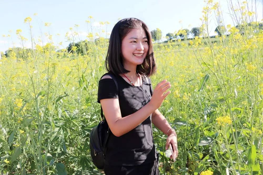 靖边在线出游记靖边妹子们王渠则黄芥花田出游记山美景美人更美