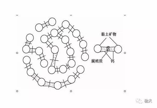 土壤的团粒结构图图片