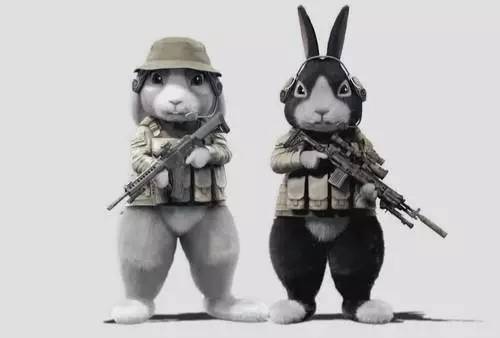 兔子穿军装拿枪头像图片