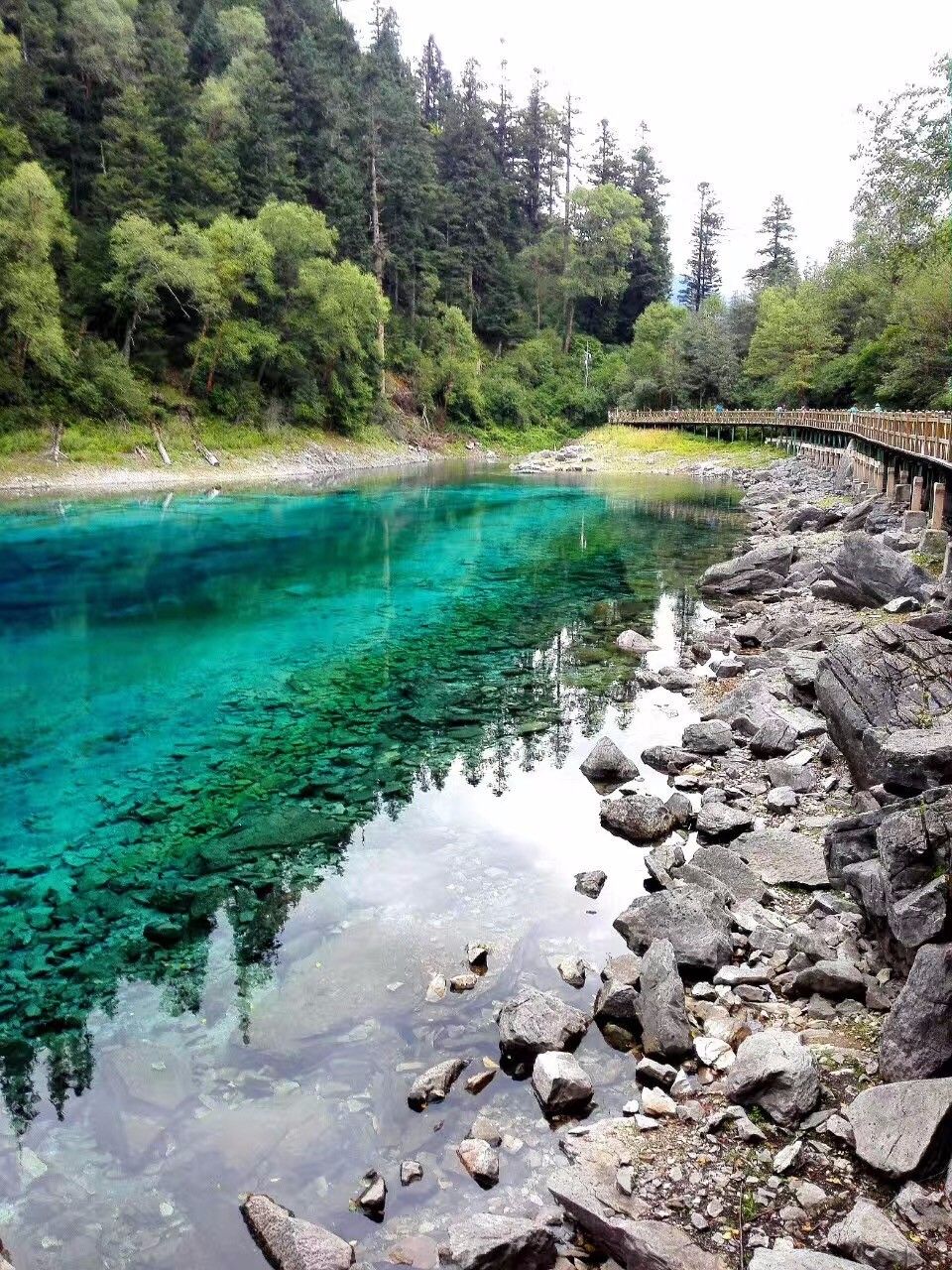 心系地震灾区,实拍震后九寨沟:美丽的五花海大变样!