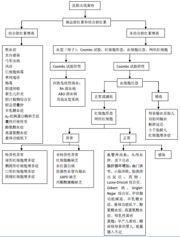 【诊疗规范】新生儿黄疸如何诊断?