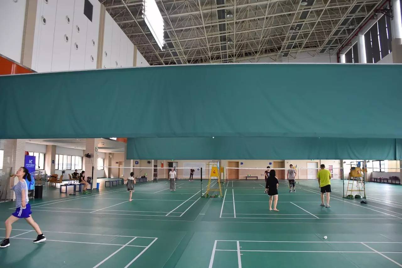 龙港体育馆羽毛球场图片