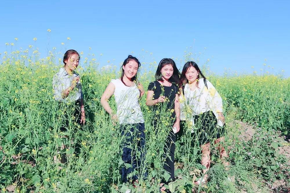 靖边在线出游记靖边妹子们王渠则黄芥花田出游记山美景美人更美