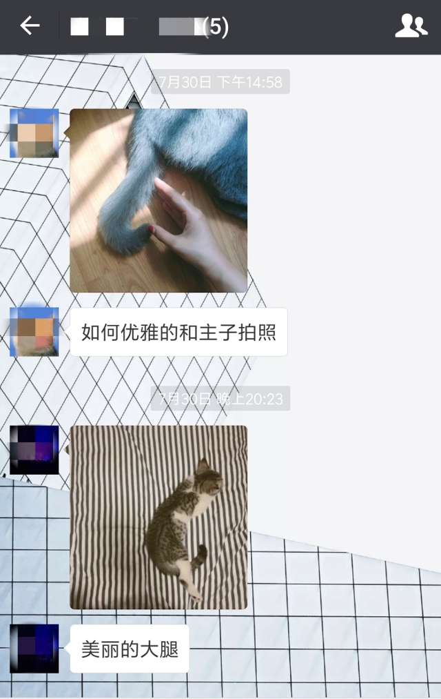 猫咪APP是不是被禁了图片