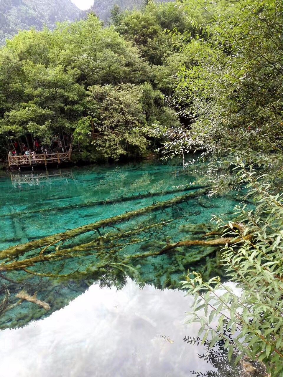 心系地震灾区,实拍震后九寨沟:美丽的五花海大变样!