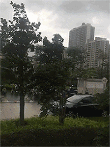 224_300gif 动态图 动图