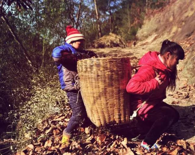 那些年吃过的苦—属于60,70,80后的农村童年记忆