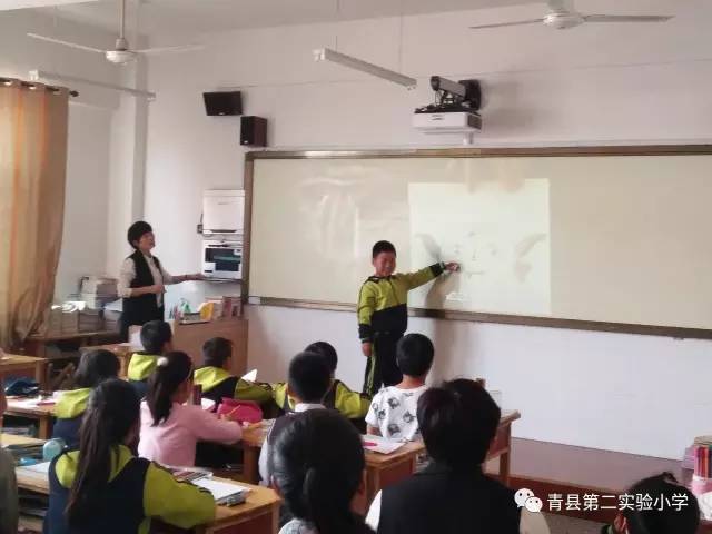 青县第二实验小学2017年招生简章