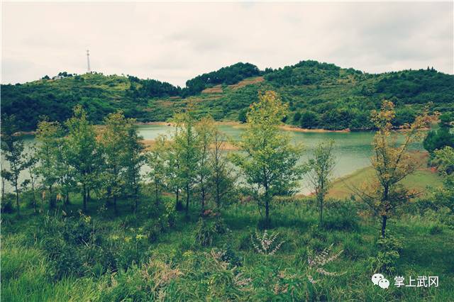 坐落在桂竹村的稠树塘跃进水库桂竹村计划在跃进水库修建游步道,铁