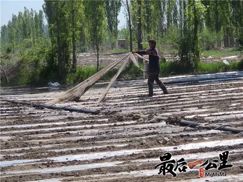 新疆生产建设兵团第四师63团驻霍城县三道河乡大柳树村工作队驻村后