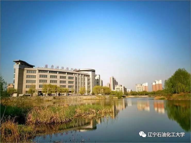 为什么我不去北上广深而是选择辽宁石油化工大学3分钟告诉你真相