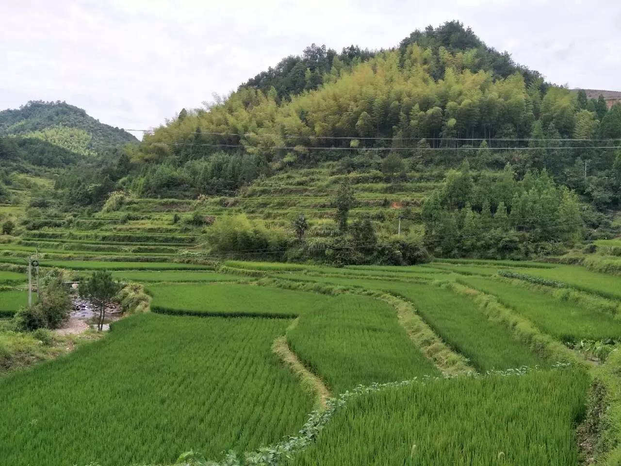 章社垟:相传早年因章姓人迁此地开垦田垟始居建村而得名.