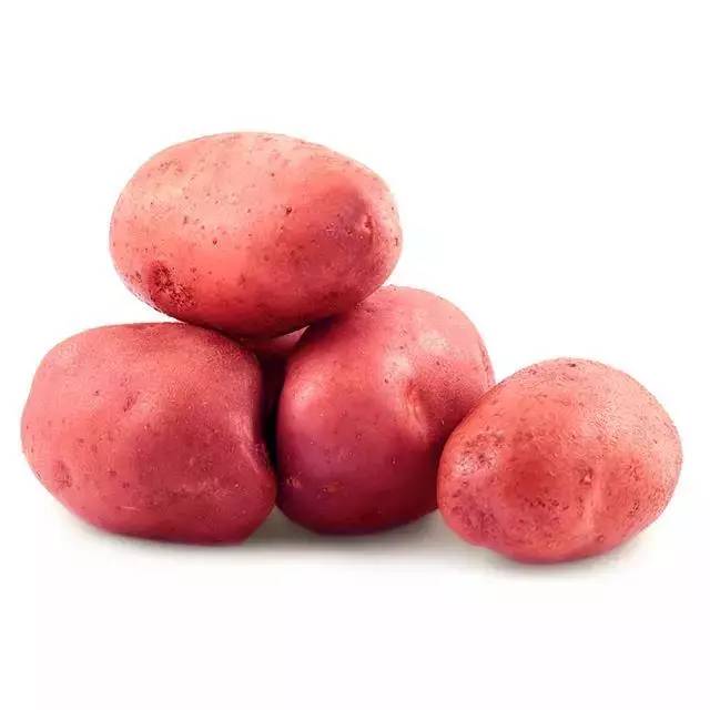 这个土豆很稀罕皮是红色的长在2500米的高原上