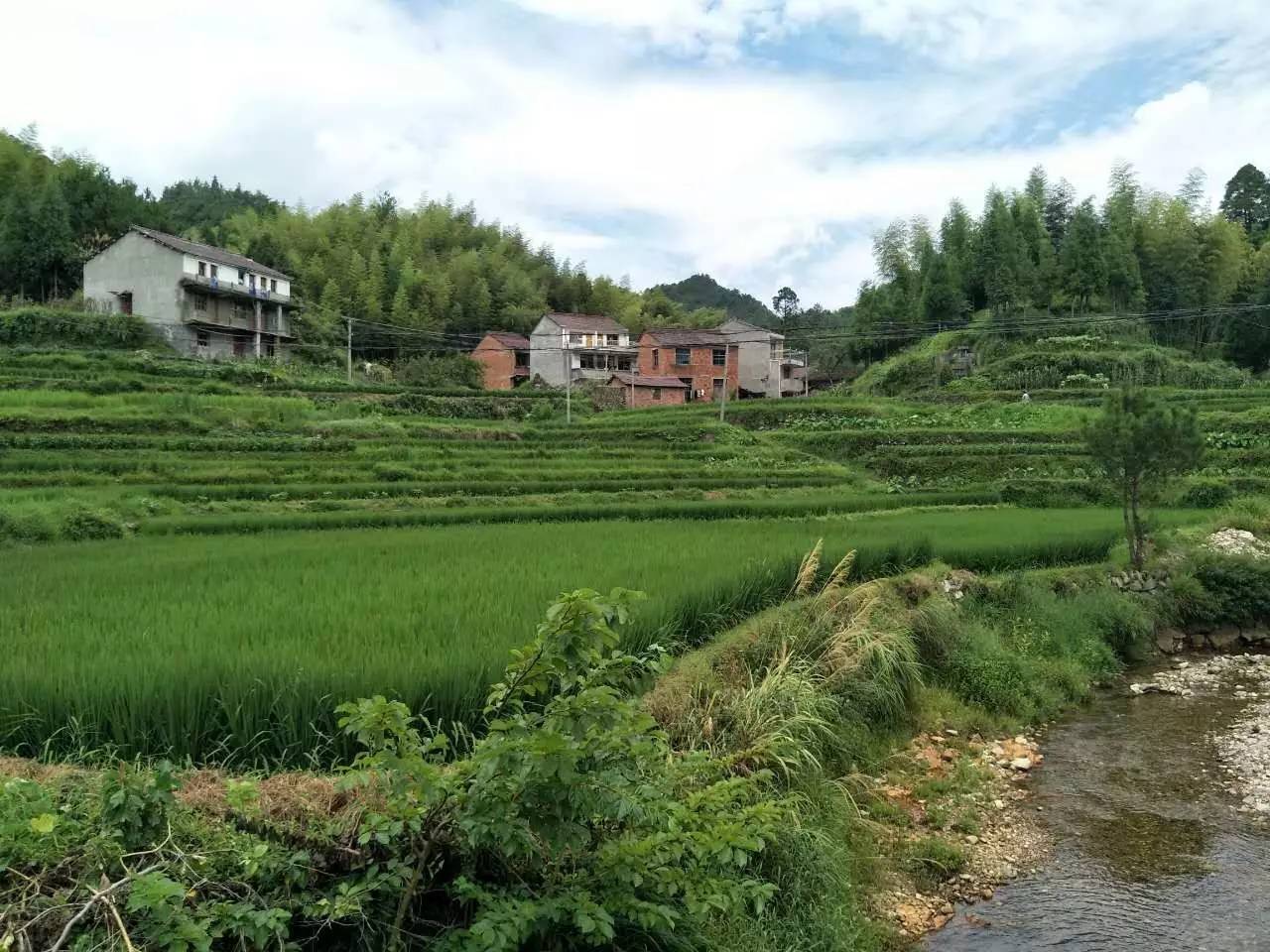 章社垟:相传早年因章姓人迁此地开垦田垟始居建村而得名.