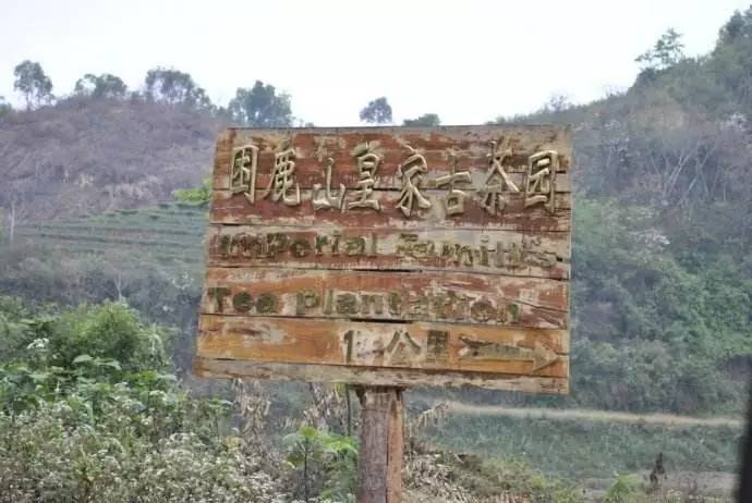 追忆皇家贡茶御跃困鹿山