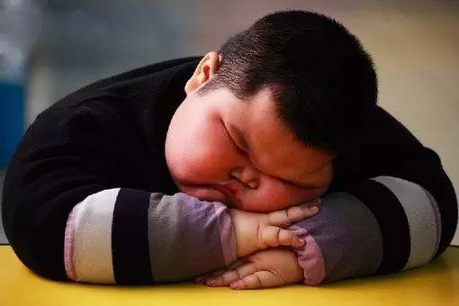京城第一胖童图片