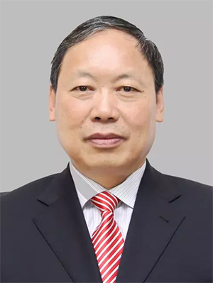 历任金平县副县长,石屏县副县长,县委副书记,红河州人大常委会财经